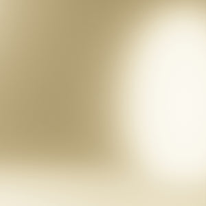 Brass Metal Finish